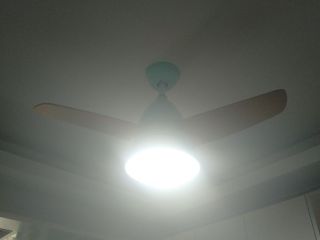 竣工验收
