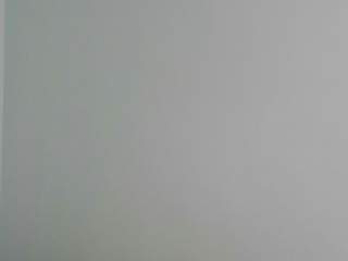 墙、顶面乳胶漆