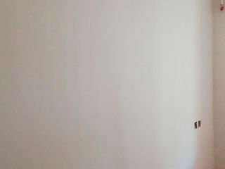 墙、顶面乳胶漆