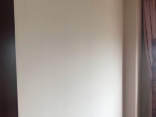 墙、顶面乳胶漆