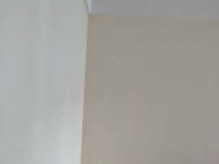墙、顶面乳胶漆