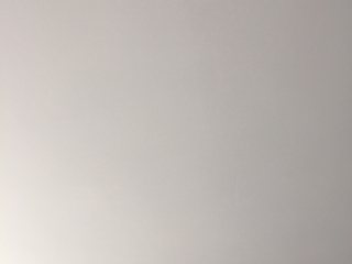 墙、顶面乳胶漆