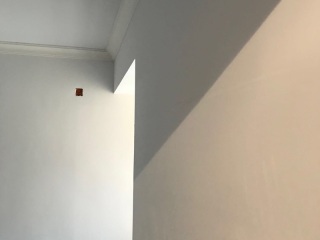 墙、顶面腻子批嵌