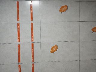 竣工验收