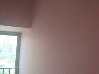 墙、顶面乳胶漆