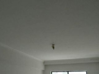 油漆工程 验收