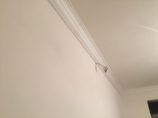 墙、顶面腻子批嵌