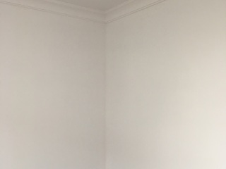 墙、顶面腻子批嵌