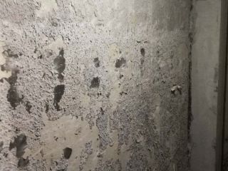 日常巡检
