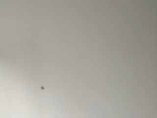 现场背景墙及隔墙施作