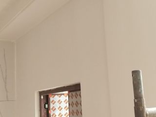墙、顶面乳胶漆
