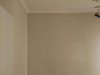 墙、顶面乳胶漆
