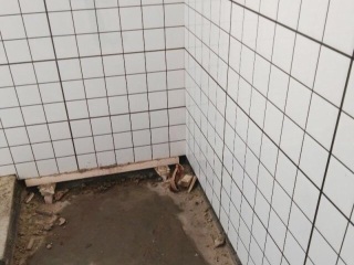 日常巡检