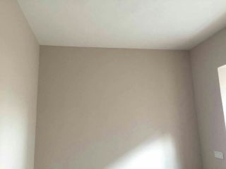 墙、顶面乳胶漆