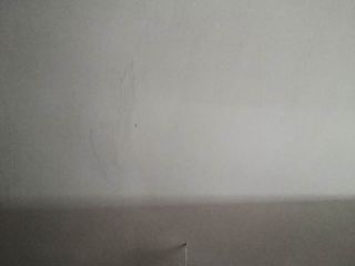 墙、顶面腻子批嵌