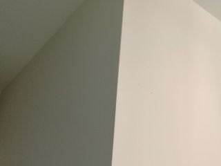 墙、顶面腻子批嵌