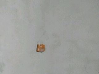 墙、顶面腻子批嵌