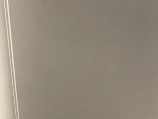 墙、顶面乳胶漆