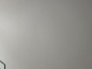 墙、顶面乳胶漆