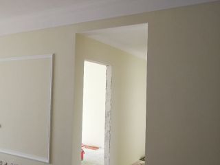 墙、顶面乳胶漆