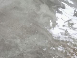 日常巡检