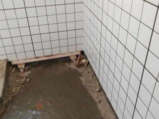 厨房、卫生间墙砖施作
