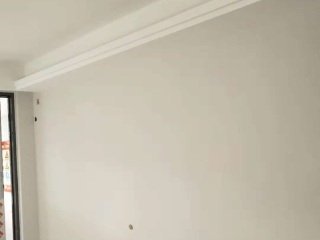 墙、顶面乳胶漆