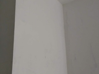 墙、顶面腻子批嵌