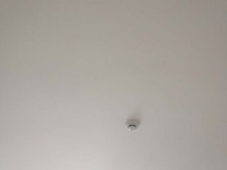 墙、顶面乳胶漆