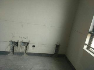 日常巡检