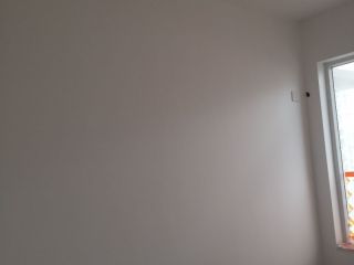 墙、顶面乳胶漆