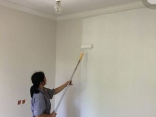 墙、顶面乳胶漆