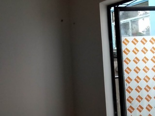 墙、顶面乳胶漆