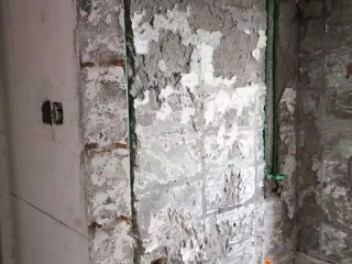 日常巡检