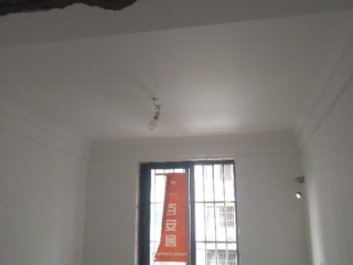 墙、顶面乳胶漆