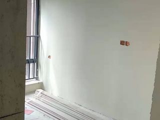 墙、顶面腻子批嵌