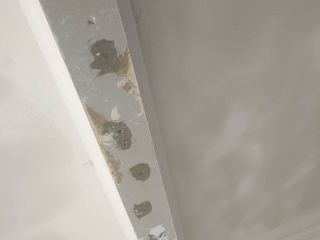 泥木工程 验收