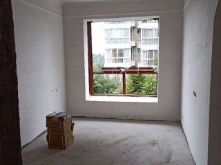 墙、顶面腻子批嵌