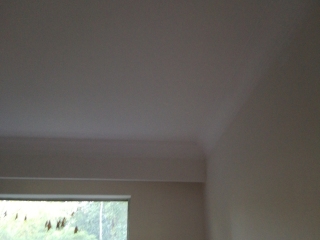 墙、顶面乳胶漆及墙纸铺贴