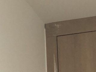 墙、顶面腻子批嵌