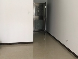 现场木制品造型施作