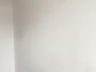 墙、顶面乳胶漆