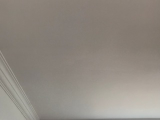 墙、顶面乳胶漆