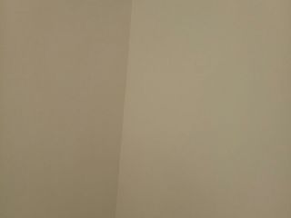 墙、顶面乳胶漆