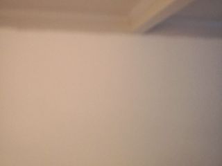 墙、顶面乳胶漆