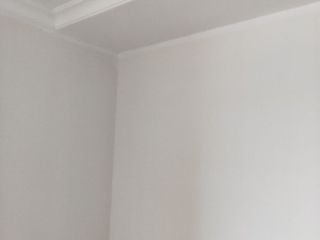 墙、顶面乳胶漆