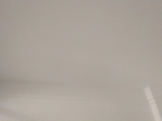 墙、顶面腻子批嵌
