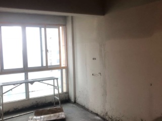 墙、顶面腻子批嵌