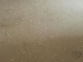 日常巡检
