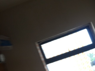 现场木制品造型施作